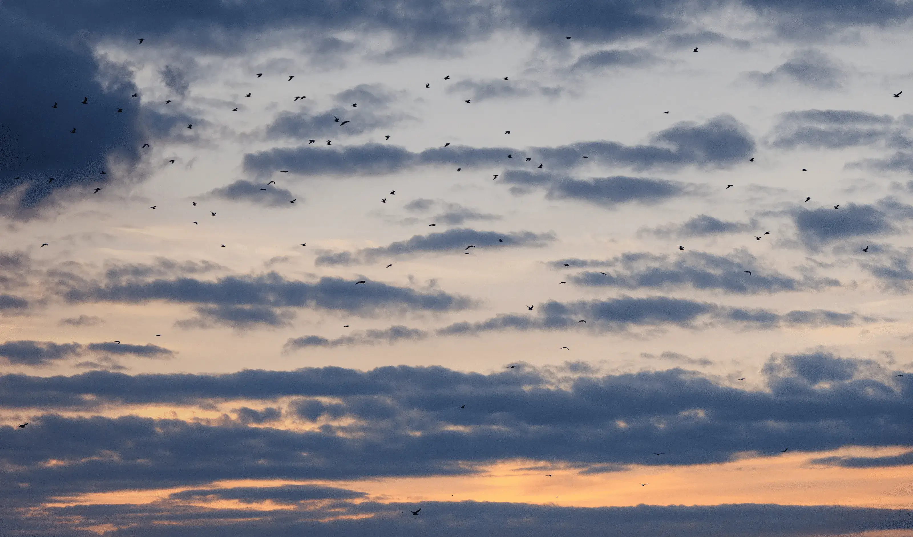 Впечатляющие виды